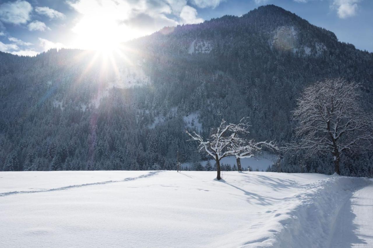 Gastehaus Midi Hotell Reith im Alpbachtal Exteriör bild