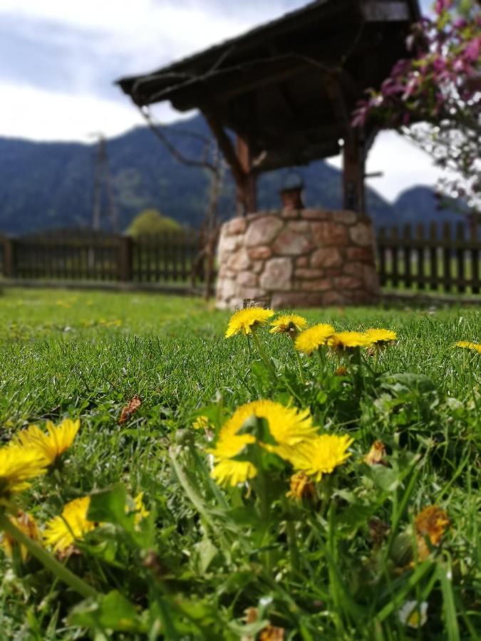 Gastehaus Midi Hotell Reith im Alpbachtal Exteriör bild